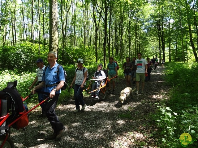 randonnée sportive avec joëlettes, Havré, 2014