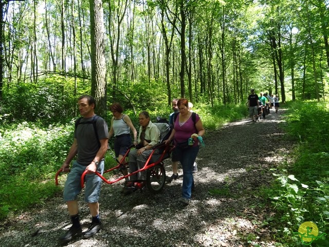 randonnée sportive avec joëlettes, Havré, 2014