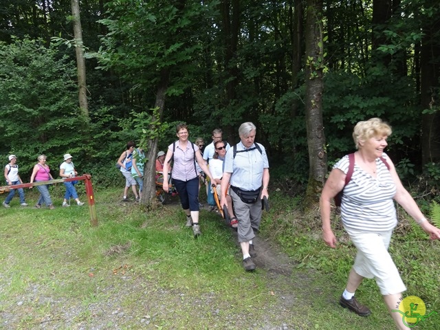 randonnée sportive avec joëlettes, Havré, 2014