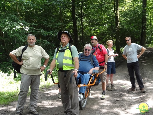 randonnée sportive avec joëlettes, Havré, 2014