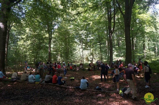 randonnée sportive avec joëlettes, Havré, 2014