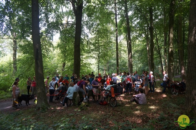 randonnée sportive avec joëlettes, Havré, 2014