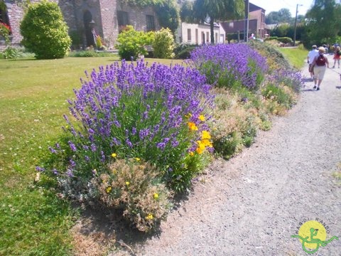 Randonnée joëlettes, Havré