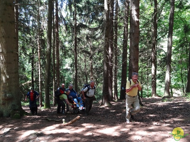 randonnée sportive avec joëlettes, le Ninglinspo, 2014