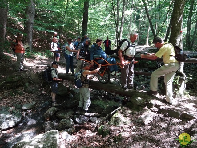 randonnée sportive avec joëlettes, le Ninglinspo, 2014