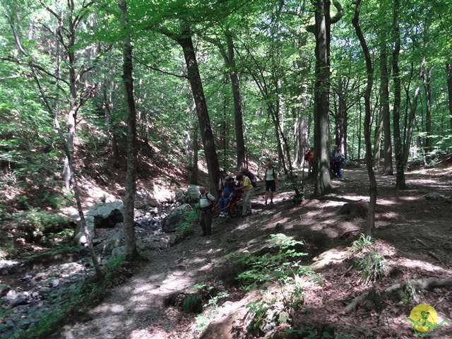 randonnée sportive avec joëlettes, le Ninglinspo, 2014