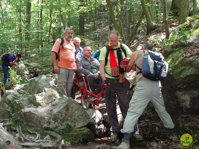 randonnée sportive avec joëlettes, le Ninglinspo, 2014