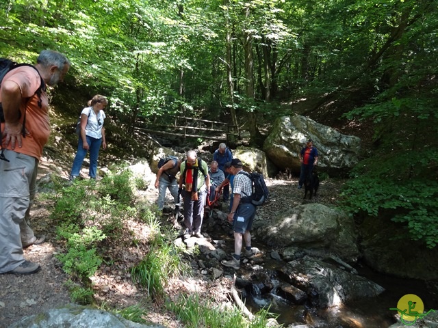 randonnée sportive avec joëlettes, le Ninglinspo, 2014