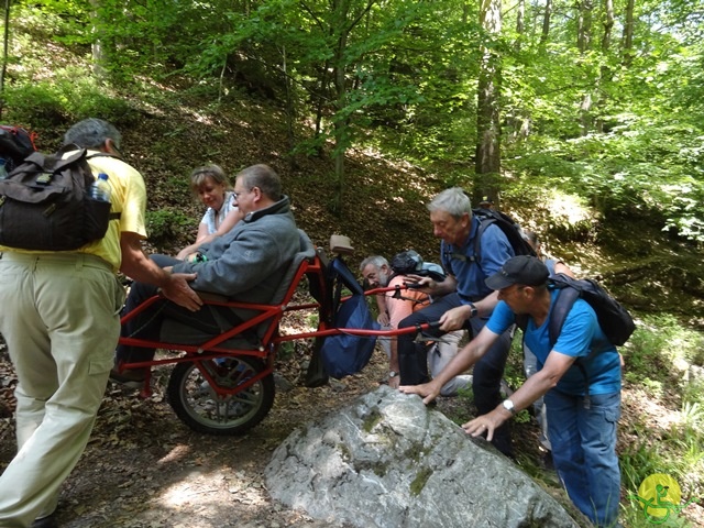 randonnée sportive avec joëlettes, le Ninglinspo, 2014