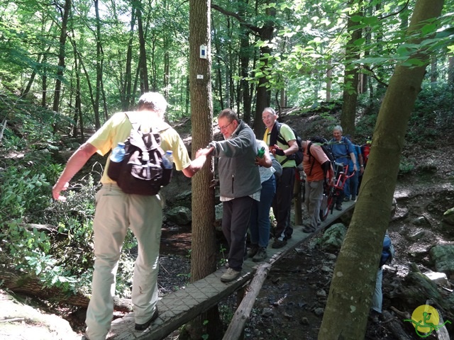 randonnée sportive avec joëlettes, le Ninglinspo, 2014