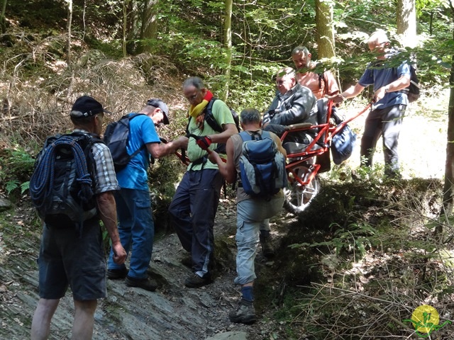 randonnée sportive avec joëlettes, le Ninglinspo, 2014