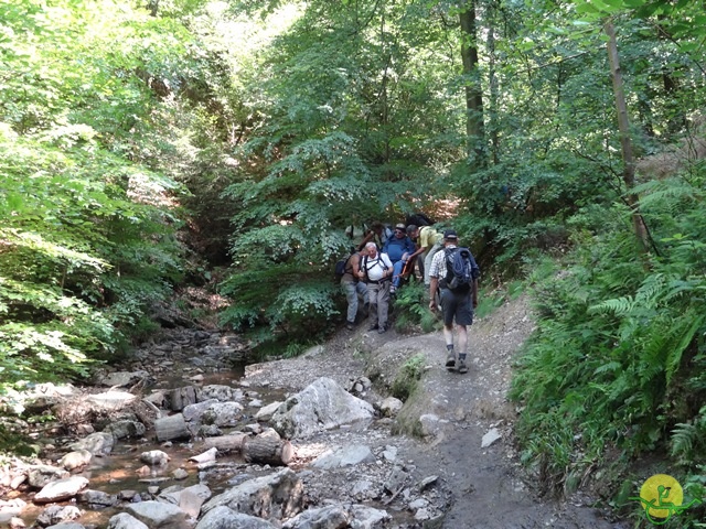 randonnée sportive avec joëlettes, le Ninglinspo, 2014