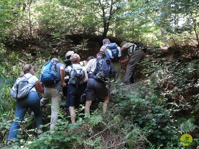 randonnée sportive avec joëlettes, le Ninglinspo, 2014