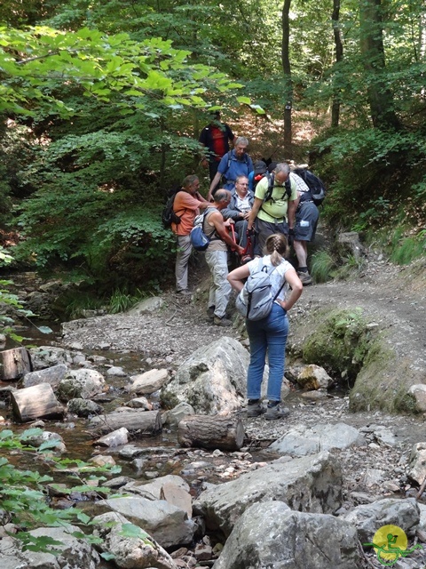 randonnée sportive avec joëlettes, le Ninglinspo, 2014