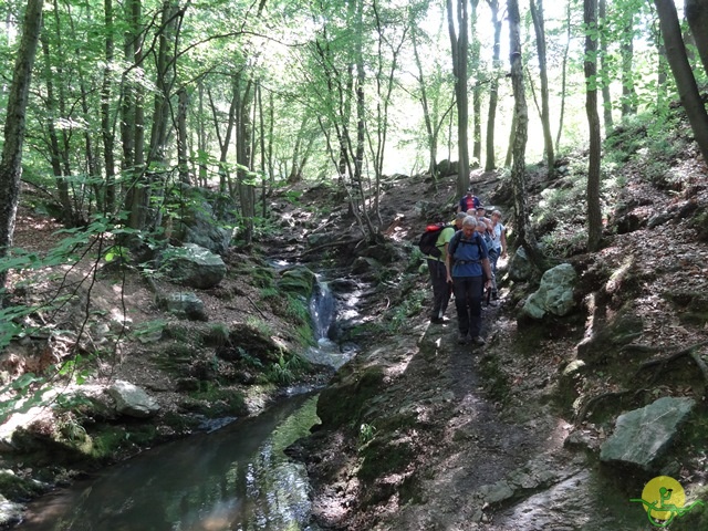 randonnée sportive avec joëlettes, le Ninglinspo, 2014