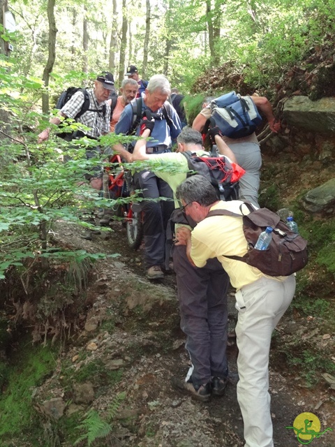 randonnée sportive avec joëlettes, le Ninglinspo, 2014