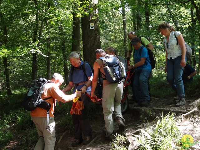 randonnée sportive avec joëlettes, le Ninglinspo, 2014