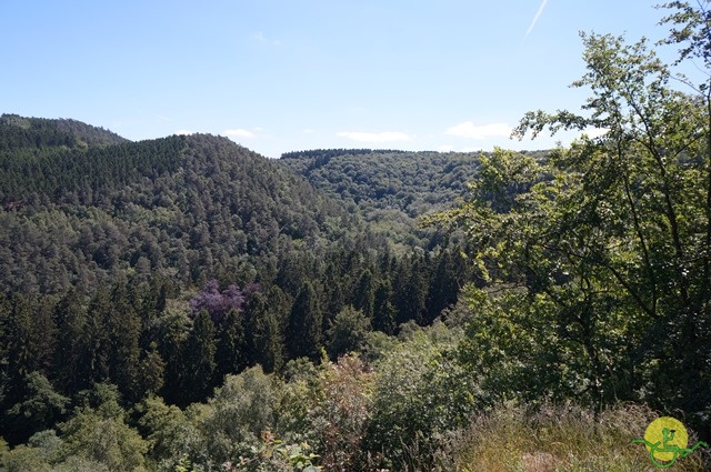 randonnée sportive avec joëlettes, le Ninglinspo, 2014