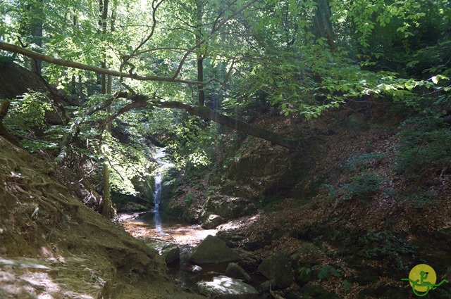 randonnée sportive avec joëlettes, le Ninglinspo, 2014