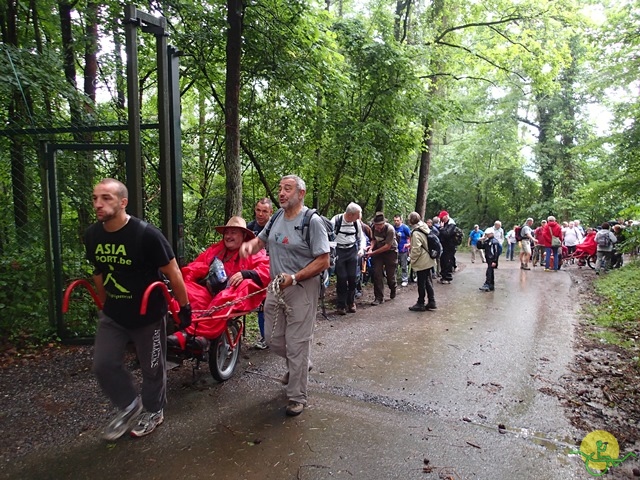 randonnée sportive avec joëlettes, Han, 2014