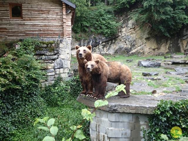 randonnée sportive avec joëlettes, Han, 2014