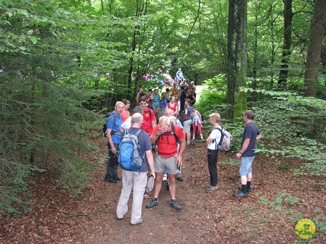 randonnée sportive avec joëlettes, Habay, 2014