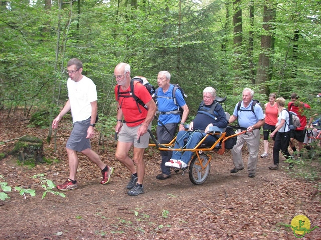 randonnée sportive avec joëlettes, Habay, 2014