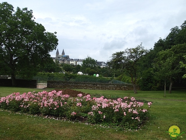 randonnée sportive avec joëlettes, Habay, 2014