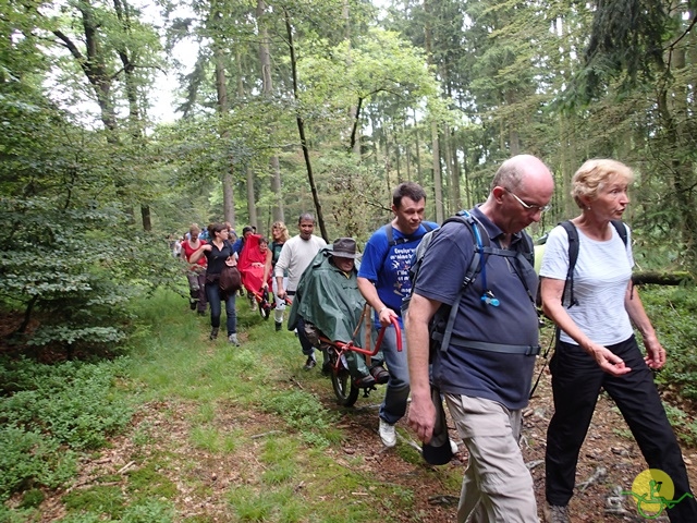 randonnée sportive avec joëlettes, Habay, 2014