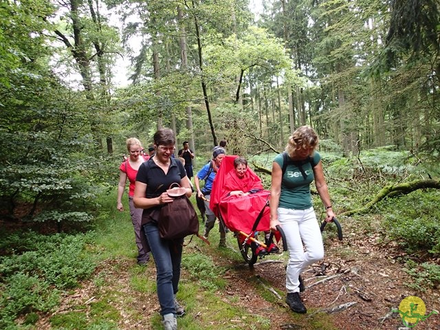 randonnée sportive avec joëlettes, Habay, 2014