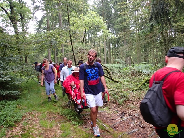 randonnée sportive avec joëlettes, Habay, 2014