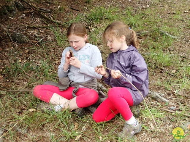 randonnée sportive avec joëlettes, Habay, 2014