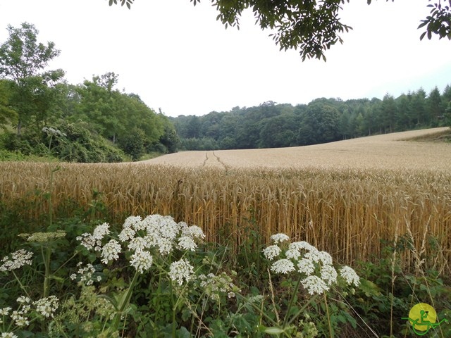 Randonnée joëlettes, Marneffe, 2014