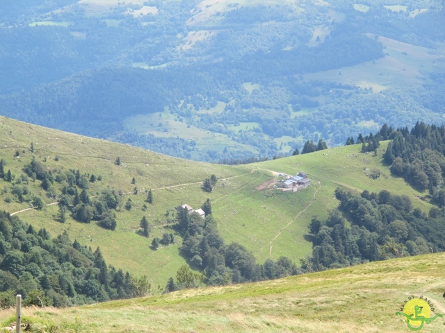 Randonnée joëlettes, Vosges, 2014