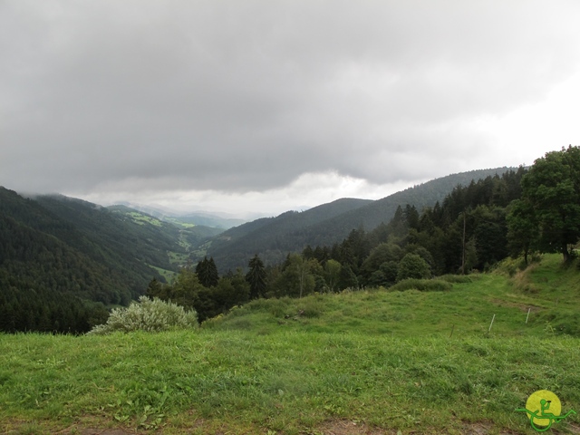 Randonnée joëlettes, Vosges, 2014