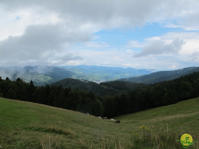 Randonnée joëlettes, Vosges, 2014