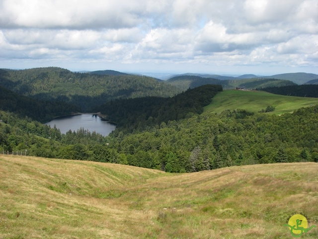 randonnée joëlettes, Vosges, 2014