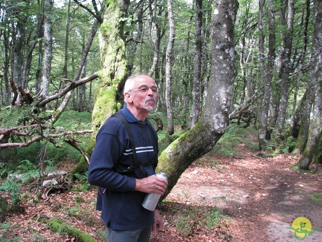 randonnée joëlettes, Vosges, 2014