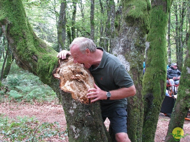 randonnée joëlettes, Vosges, 2014