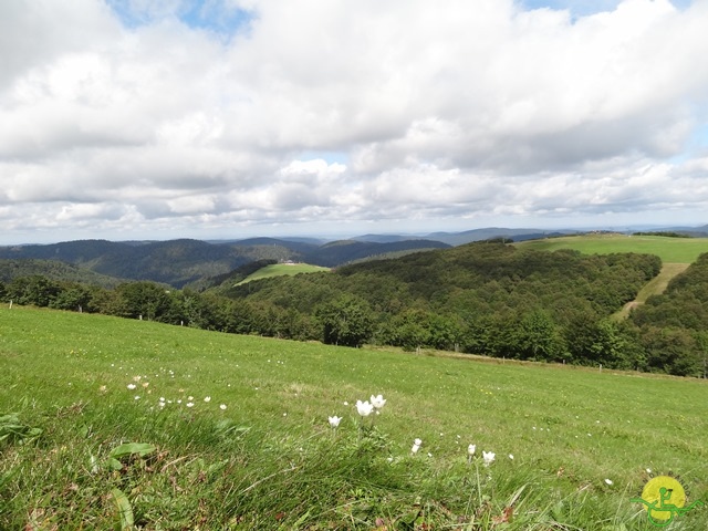 Randonnée avec joëlettes, Vosges, 2014