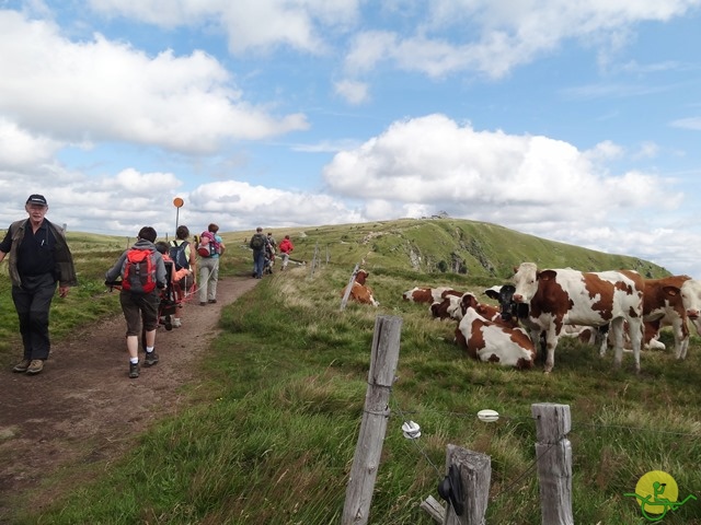 Randonnée avec joëlettes, Vosges, 2014