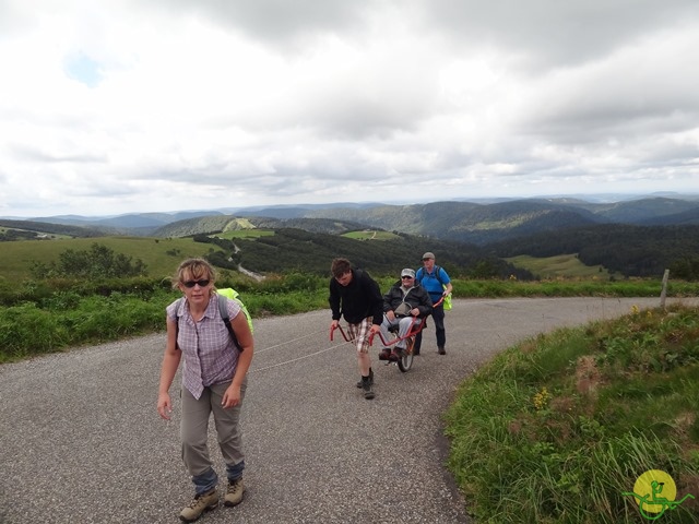 Randonnée avec joëlettes, Vosges, 2014