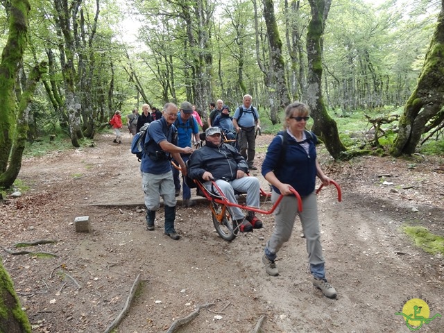 Randonnée avec joëlettes, Vosges, 2014