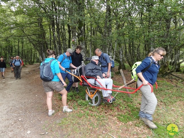 Randonnée avec joëlettes, Vosges, 2014