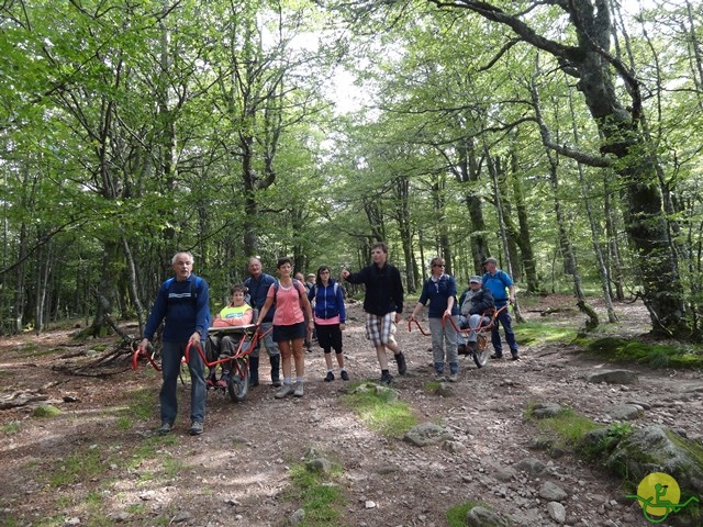 Randonnée avec joëlettes, Vosges, 2014