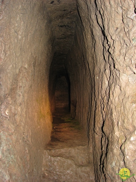 randonnée joëlettes, Vosges, 2014