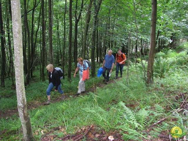 randonnée joëlettes, Vosges, 2014