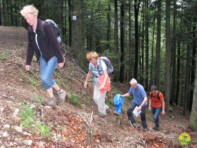 randonnée joëlettes, Vosges, 2014