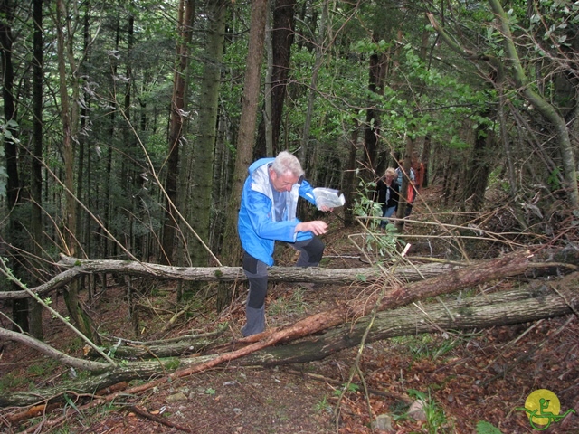 randonnée joëlettes, Vosges, 2014