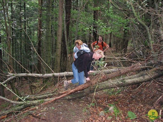 randonnée joëlettes, Vosges, 2014